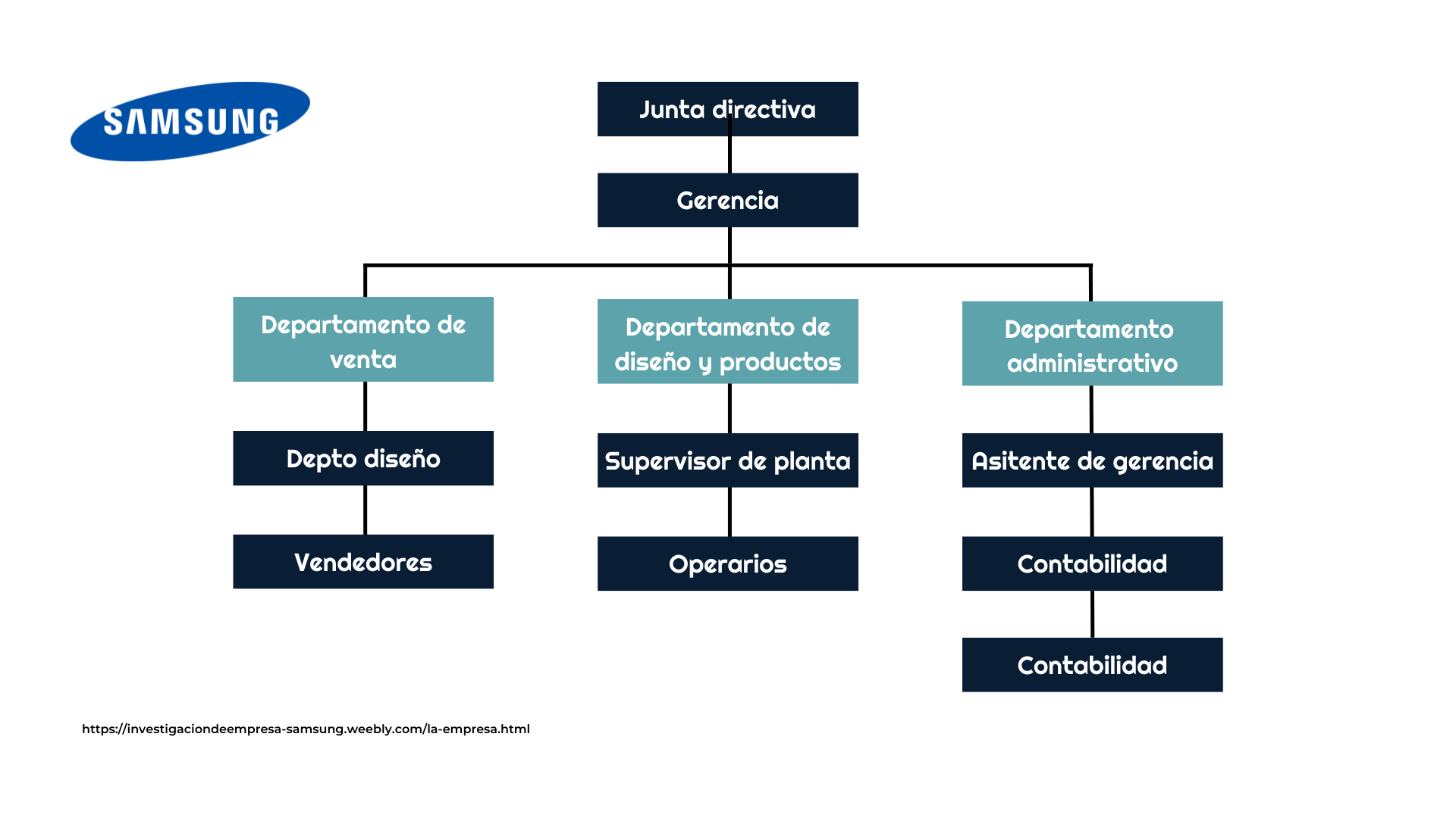 Organigrama De Una Empresa: Claves Para Crearlo En Tu Organización